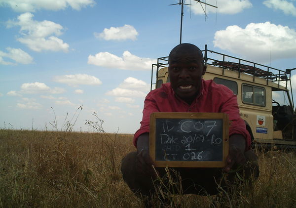 M1E88L226-227R355B286