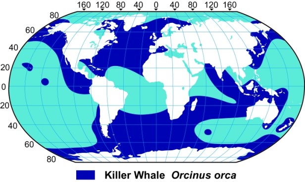 Killer Whale Range Map from the American Cetacean Society