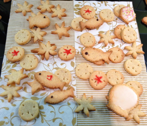 cookies_from_nature_sm_6