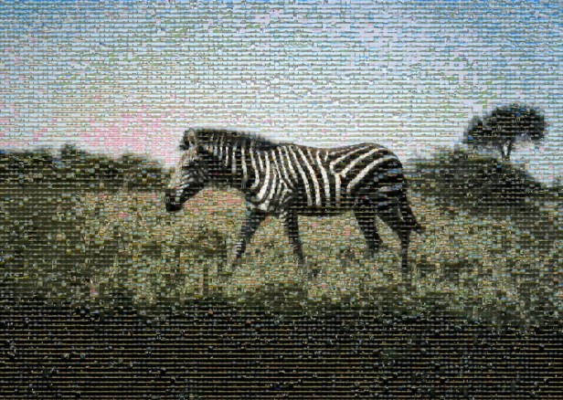 zebra-mosaic-copy