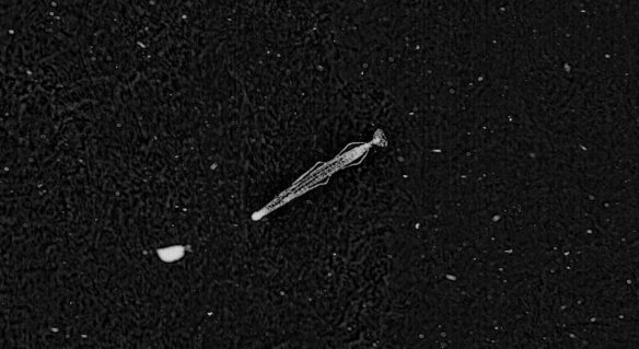 51d1beff3ae74008a4066981