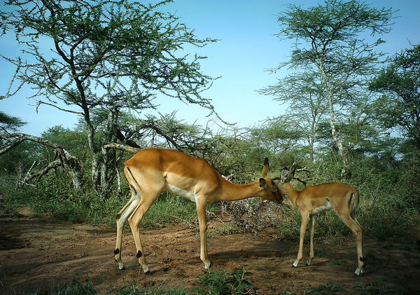 50dc8536a2fc8e378903c42d_1