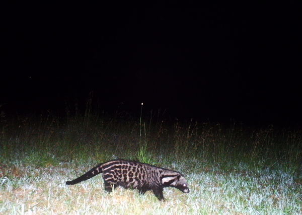 51e8a6f0e0053a09c3009934_0