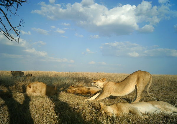 50c2163e8a607540b904fba7_1