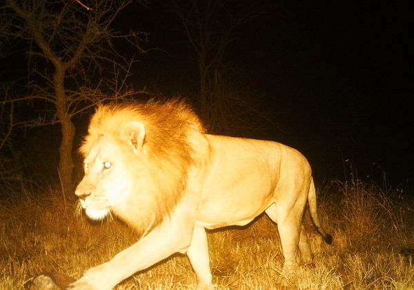 5331cd221bccd304b6001711_0