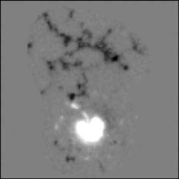 5397b086a57caf04c603f483