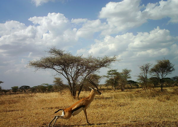 5331d0ba1bccd304b6018827_1