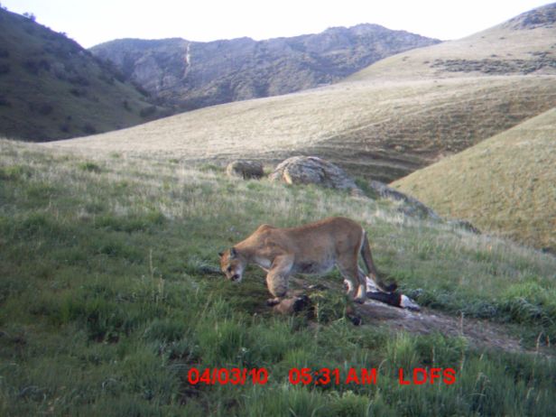 534c455fd31eae054303cd65