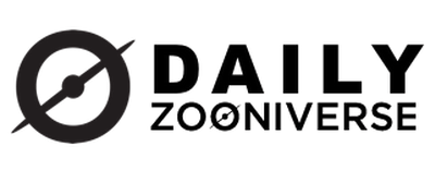 dailyzoo