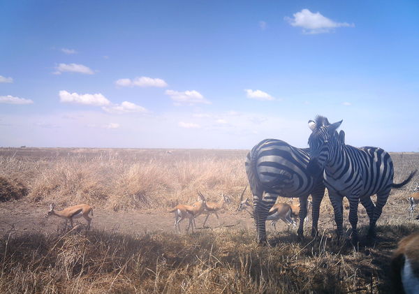 5331dd1d1bccd304b60697d3_1