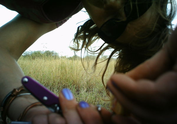 Ali performing some vital maintenance on one of the 225 camera traps