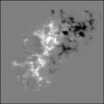 5397b405a57caf04c605343f