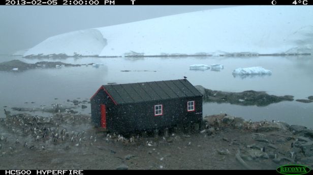 54119b9712fc4d79f301ddad