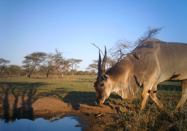 50c218c58a607540b906e133_2