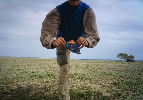 50c21a168a607540b907db2b_0