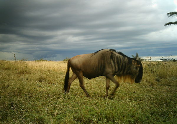 50dcd5a3a2fc8e37890ff3a7_0