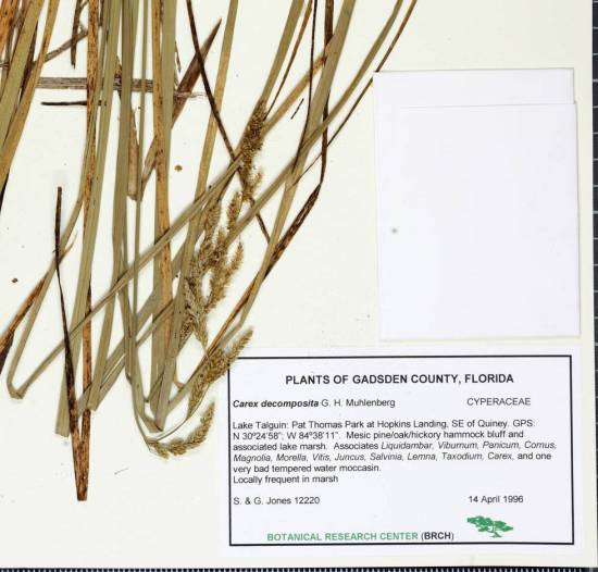 52dffb3c918ac8983d6067e6