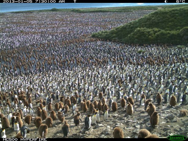 54119e6d12fc4d79f304a8e9