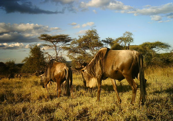 50c2132d8a607540b902a579_0