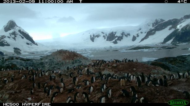 54119ef312fc4d79f3052c41