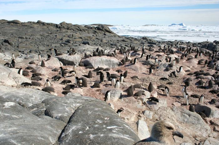 54119f0b12fc4d79f3054519