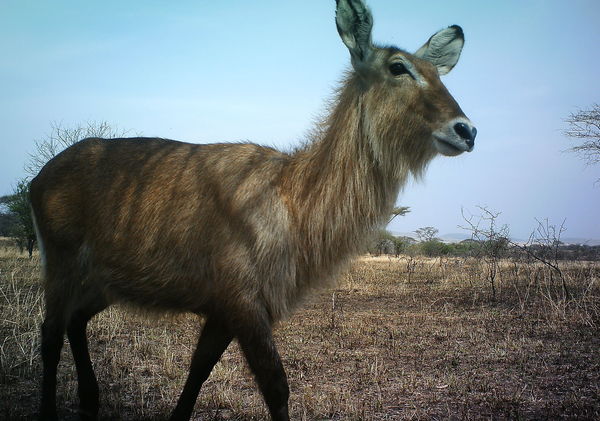 5331db1b1bccd304b605c0b5_0