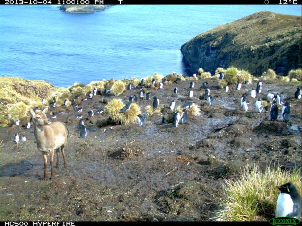 54119b1f12fc4d79f30164b1