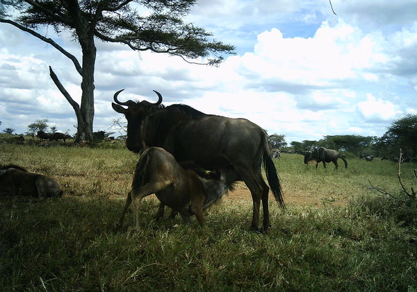 50c2167b8a607540b90526a9_2