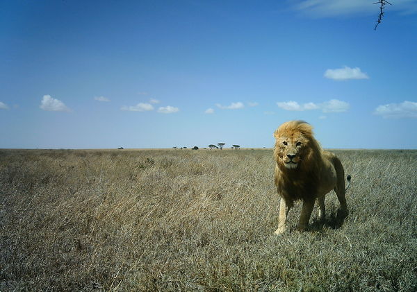 50c217c08a607540b9061a50_2