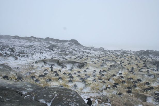 54119f0912fc4d79f3054221