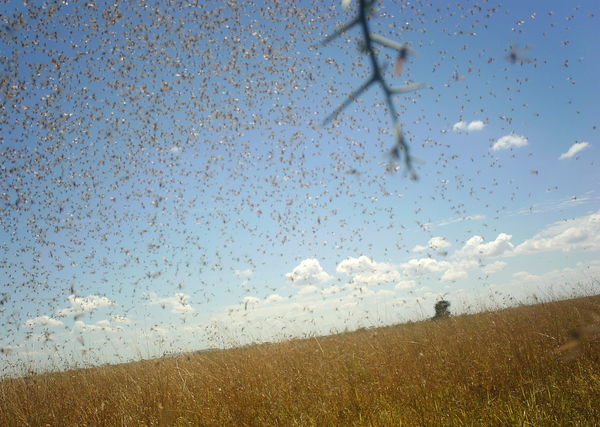 54cfcf7c87ee0404d503f787_2