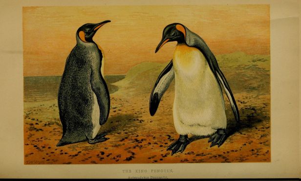 54f43bbfefc50104c300aaf5