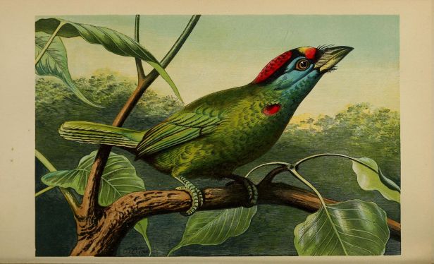 54f43be6efc50104c300ba79