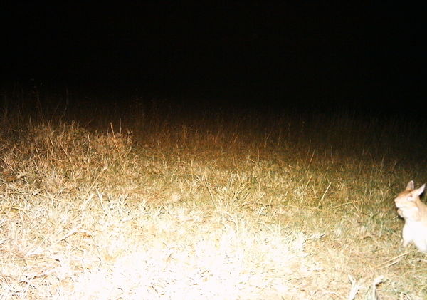 50c2141f8a607540b903664e_0