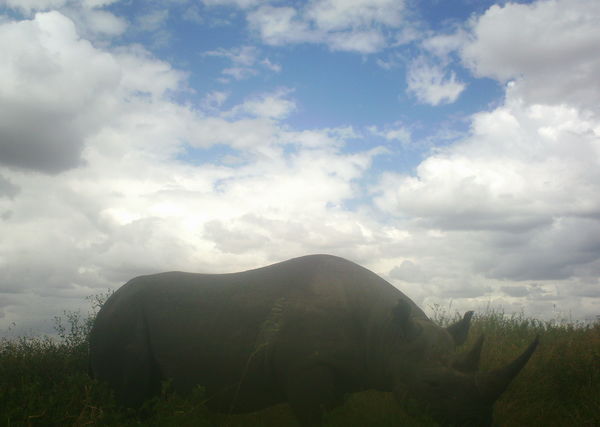 54cfd02887ee0404d5044c8b_0