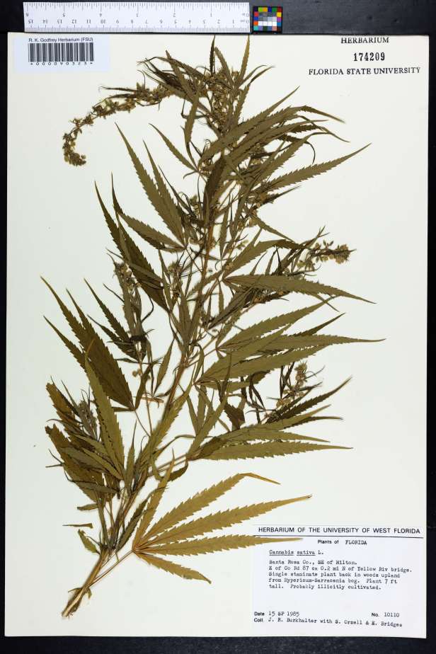 5514b60669736d5e9ceb0300