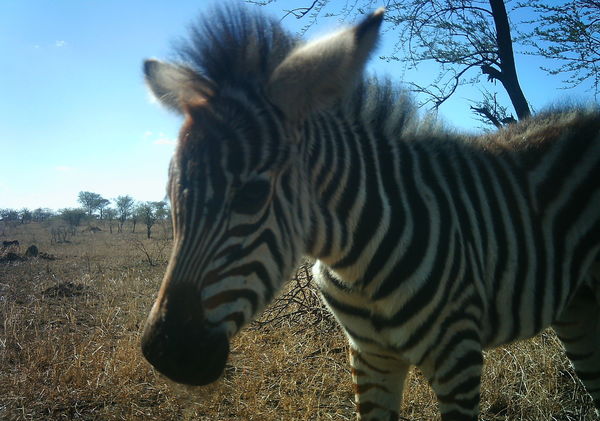 54cfd52487ee0404d506c7b5_1