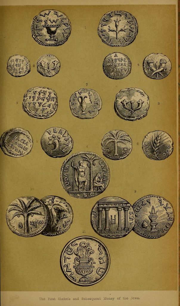 54f43b9eefc50104c3009e3b