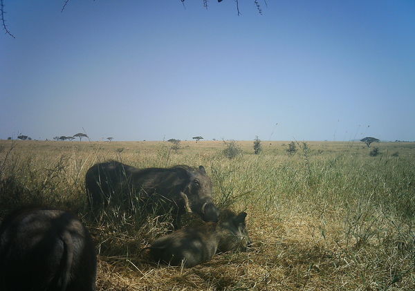 5331db2d1bccd304b605c90b_1