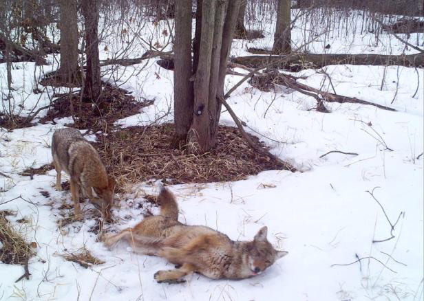 54e2433169736d327ede8900