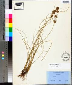 52e01b84918ac8983d608b3d