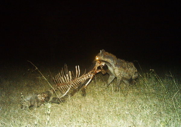 54cfd3e187ee0404d5062737_0