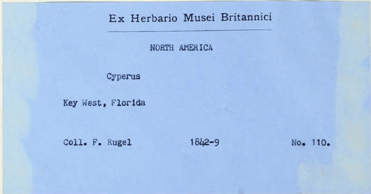 Screen Shot 2015-07-15 at 12.39.14 PM