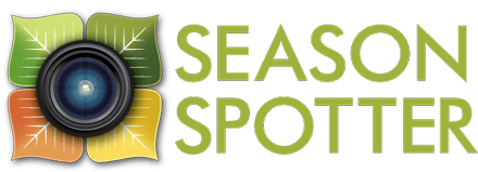 SeasonSpotter