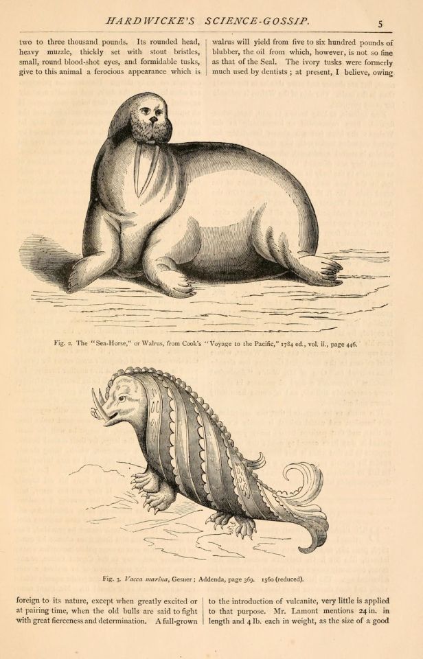 54f43a63efc50104c3002007