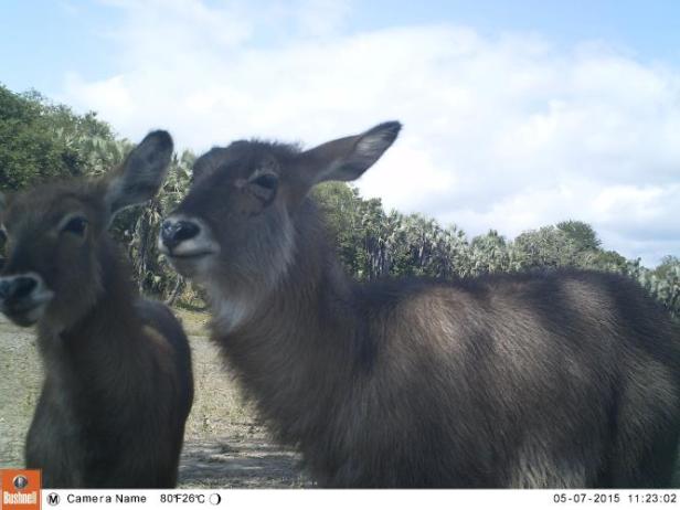 21484_1000_E76_Season 3_Set 1_EK001180