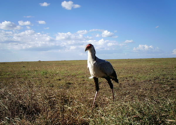 54cfd47187ee0404d5066e5d_1