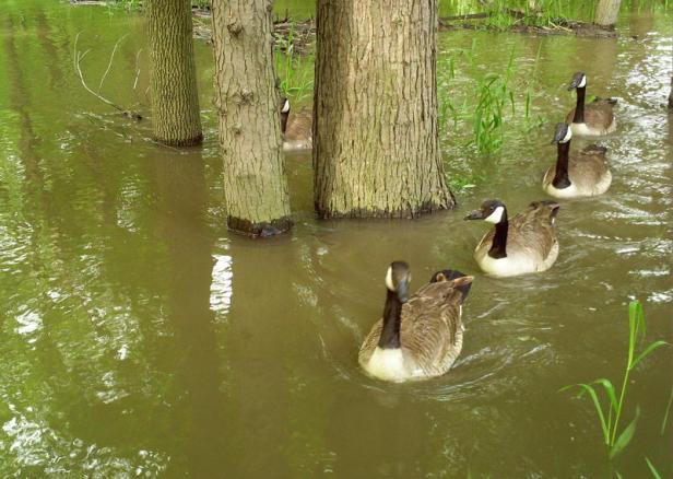 54f5fbe469736d5835324f00