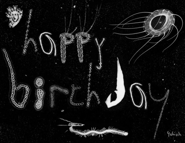 ysh_happy_Bday
