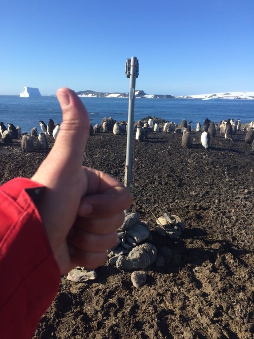 The last camera that they retrieved data from, South Shetland Islands